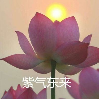 圣尊传奇手游(暂未上线)v1.0 安卓版